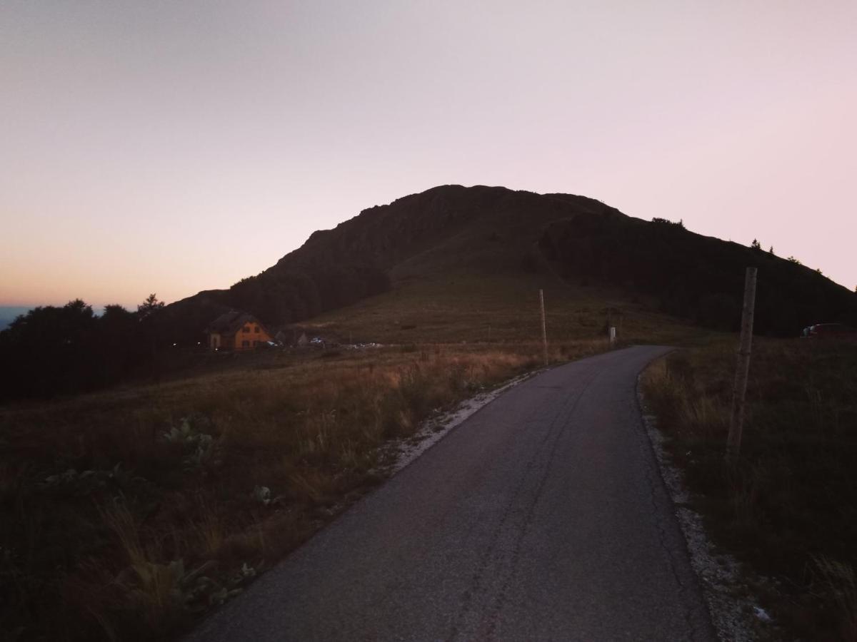 Vikendica Vila Despotovic コパオニク エクステリア 写真