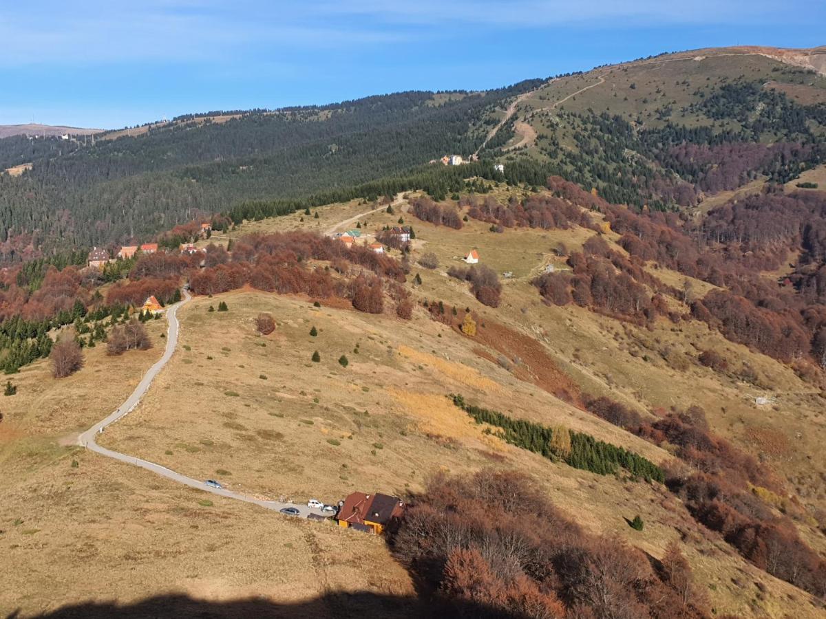 Vikendica Vila Despotovic コパオニク エクステリア 写真