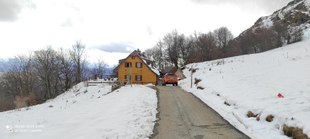 Vikendica Vila Despotovic コパオニク エクステリア 写真