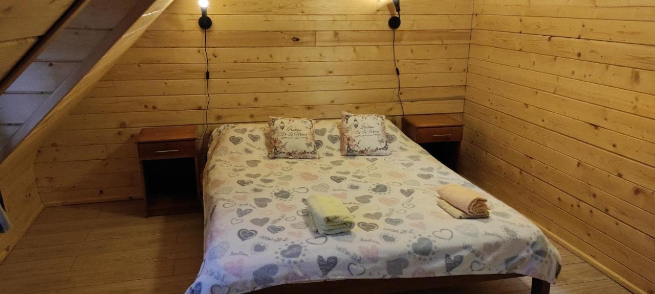 Vikendica Vila Despotovic コパオニク エクステリア 写真