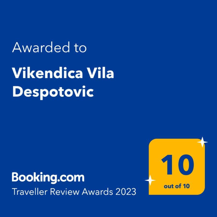 Vikendica Vila Despotovic コパオニク エクステリア 写真