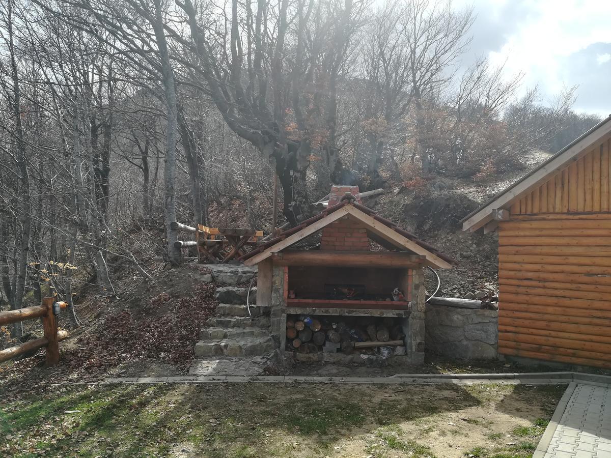 Vikendica Vila Despotovic コパオニク エクステリア 写真
