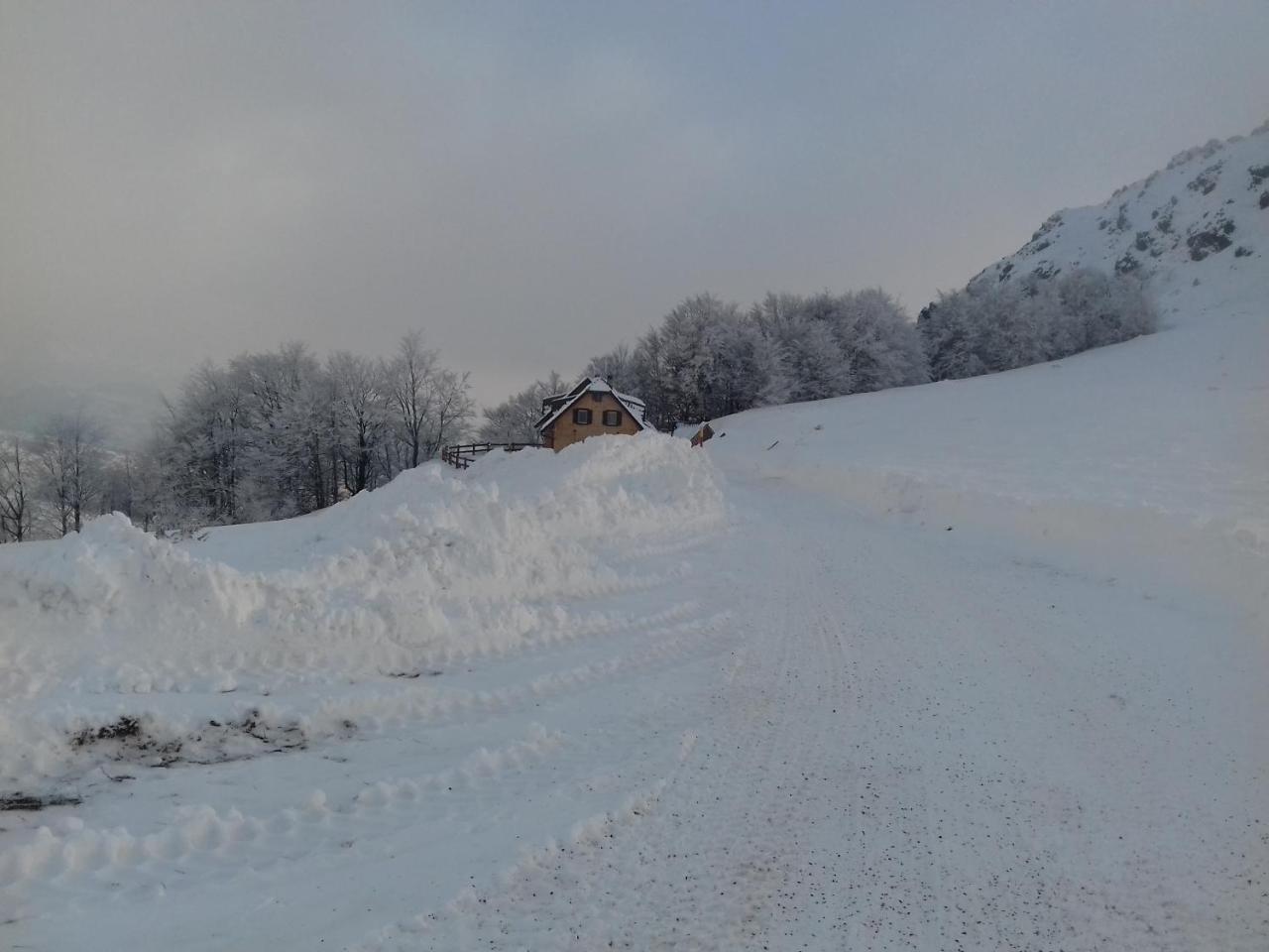 Vikendica Vila Despotovic コパオニク エクステリア 写真