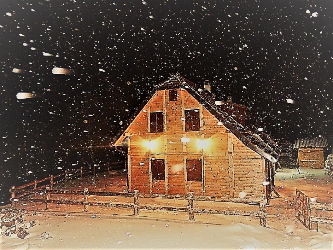 Vikendica Vila Despotovic コパオニク エクステリア 写真